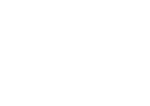 logonuevo24